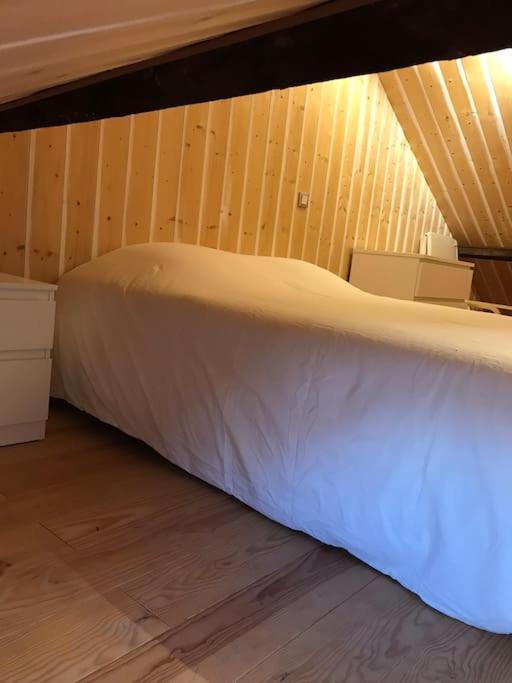 Studio 30M2 Centre De Cusset Εξωτερικό φωτογραφία